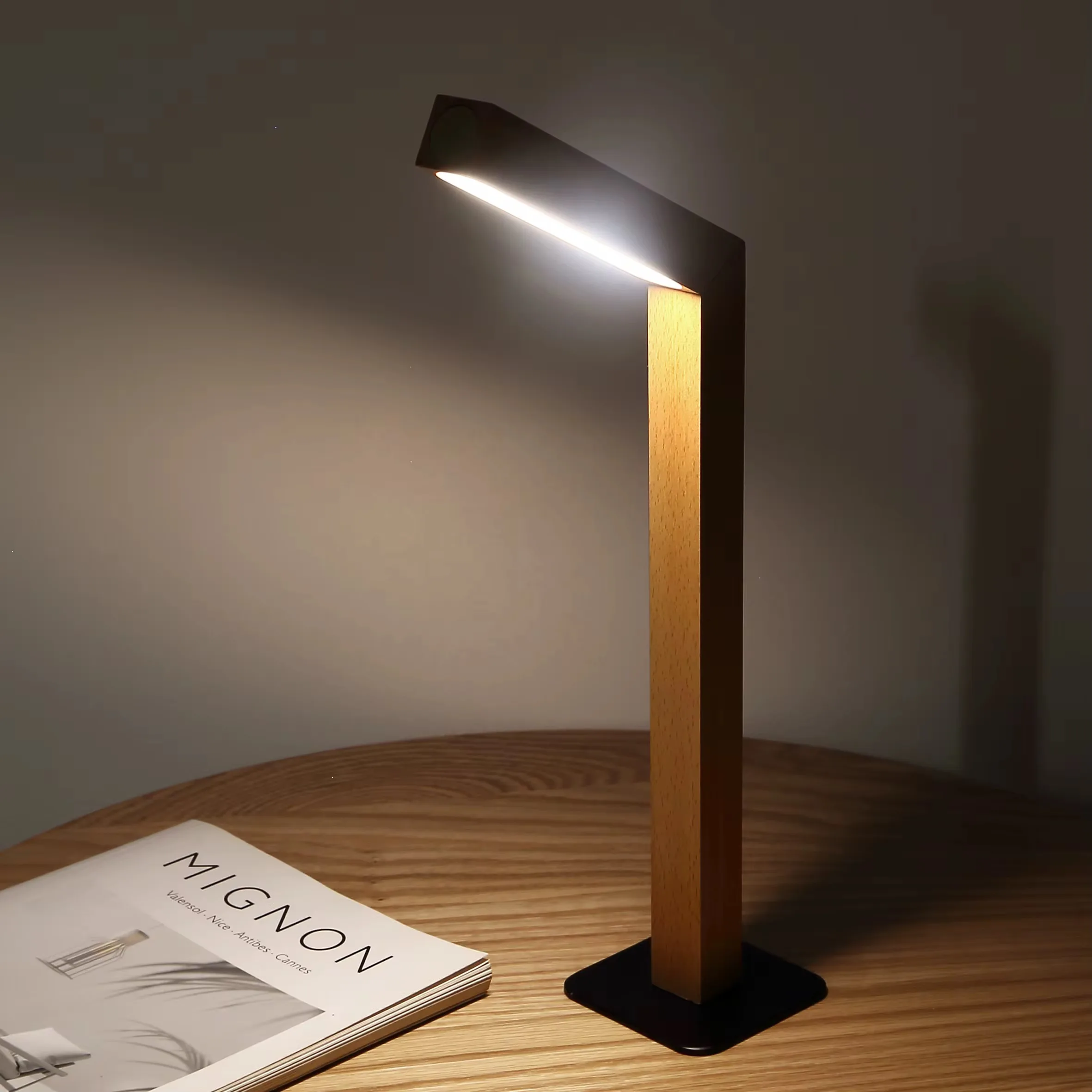 One Strip Multi-purpose Lamp